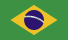 Português (BR)